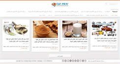 Desktop Screenshot of o2adv.com
